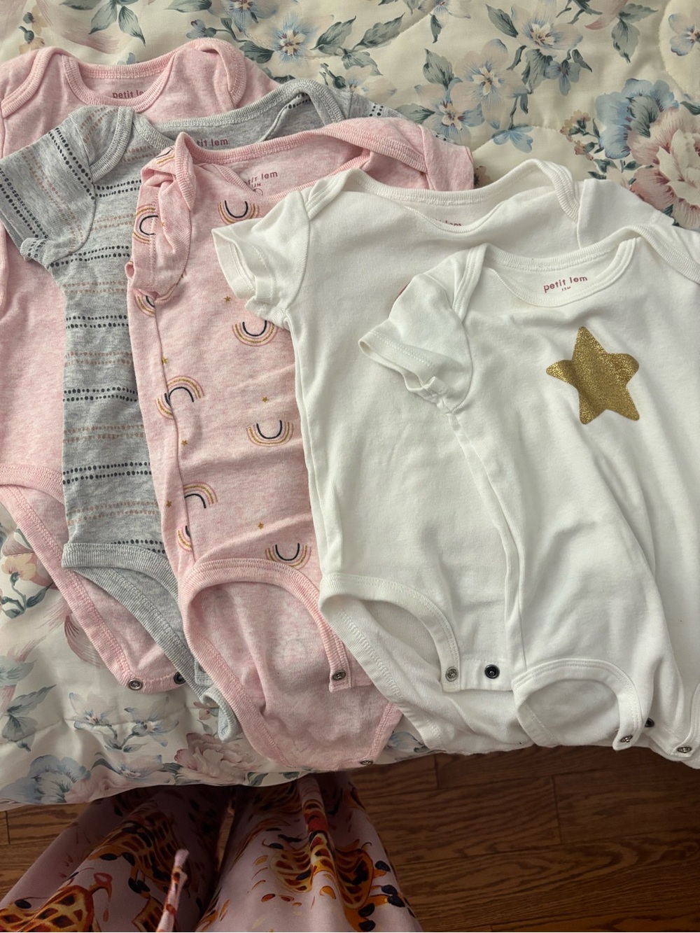 Petit Lem & Carters 12 month onesies (11 total)
